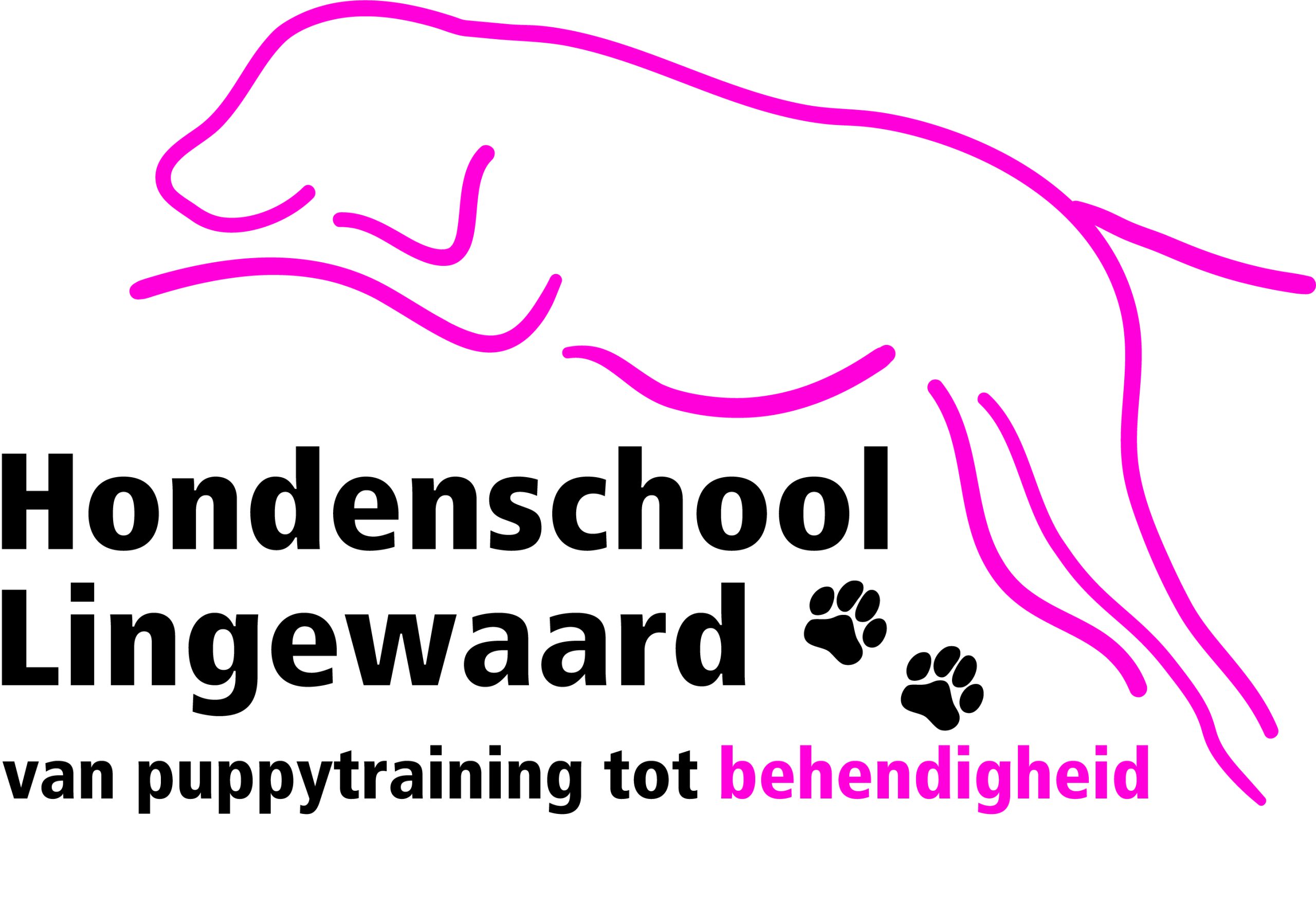 Hondenschool-Lingewaard-scaled.jpg