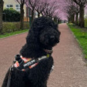 Profielfoto van Patricia