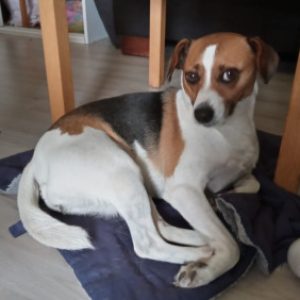 Profielfoto van Els