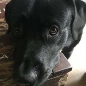 Profielfoto van Tinka