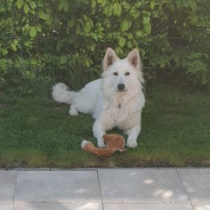 Profielfoto van Sandra
